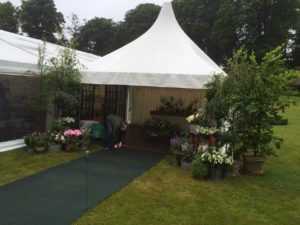 Anice Mohamed Services Pagodas  