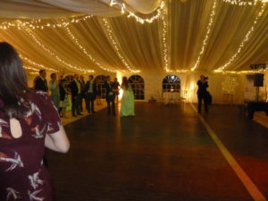 Anice Mohamed Services Lighting  